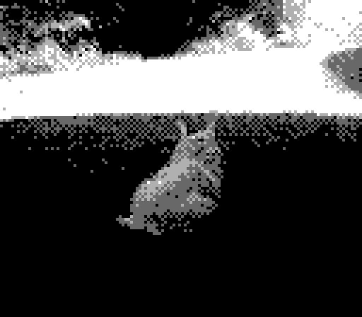 Gameboy Camera photo of Yorda, back facing the camera, looking at trees in the distance