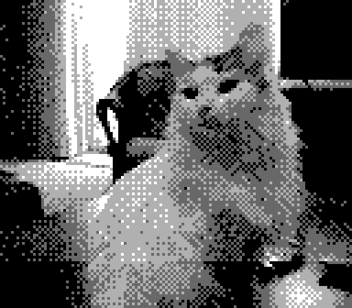 Gameboy Camera photo of Yorda looking to the left, a chair in the background