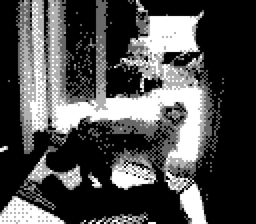 Gameboy Camera photo of Yorda standing in front of the sliding glass door, sun illuminating her from behind