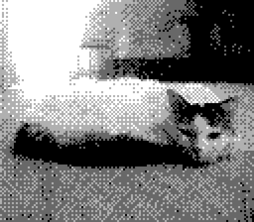 Gameboy Camera photo of Yorda laying on the floor, tail wrapped around her body