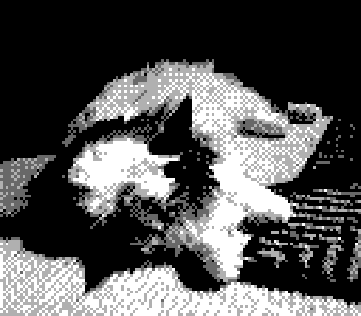 Gameboy Camera photo of Yorda laying on her side in the sun