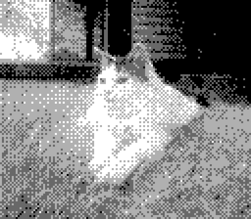 Gameboy Camera photo of Yorda laying in the grass