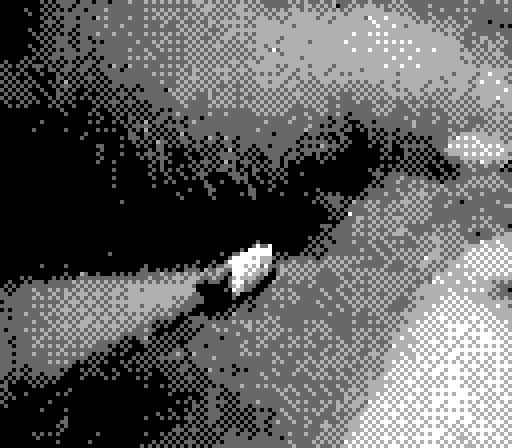 Gameboy Camera photo of Yorda stalking some birds