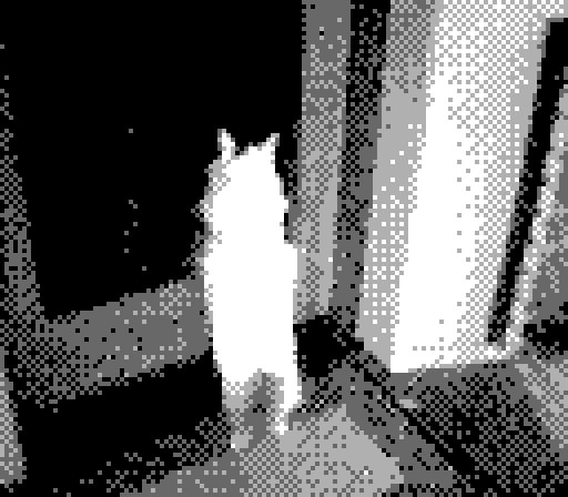 Gameboy Camera photo of Yorda standing with her paws on the door, looking outside