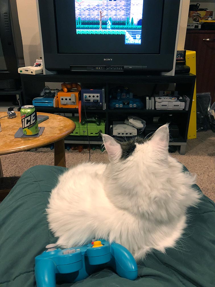 Yorda sitting in my lap watching the TV as I play Aria of Sorrow using a Gameboy Player and Gamecube