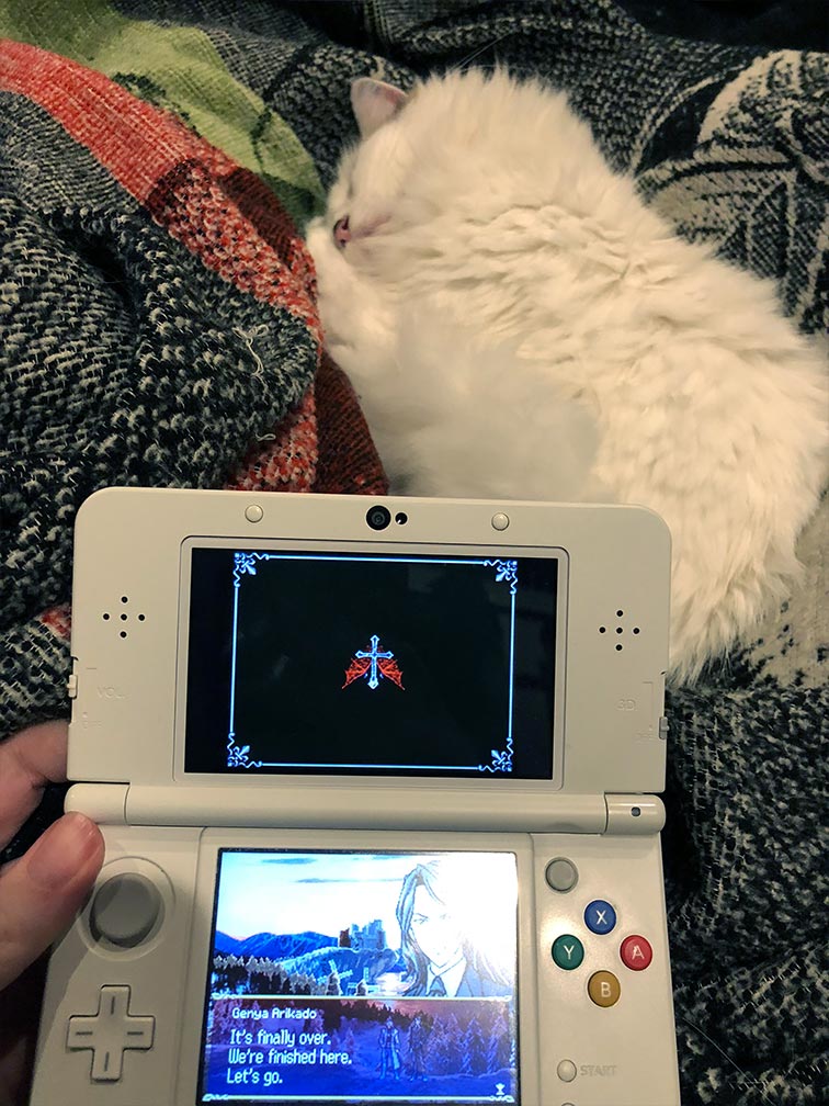 Yorda sleeping while I play Dawn of Sorrow on a 3DS